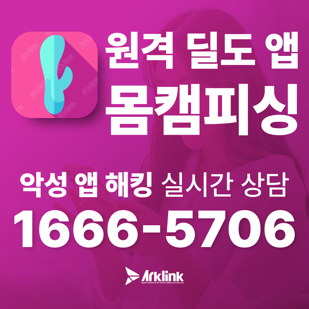 원격 조종 딜도 어플을 가장한 악성앱 설치 유도 수법 안내